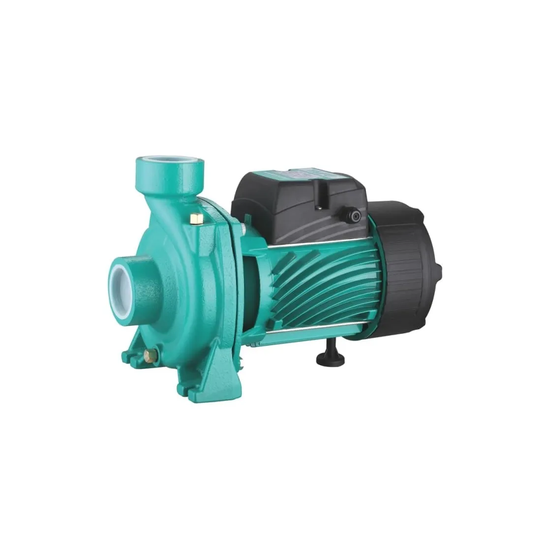 TAIFU Centrifugal Pump Single Phase, 2" (1 HP) | (TGA1C)