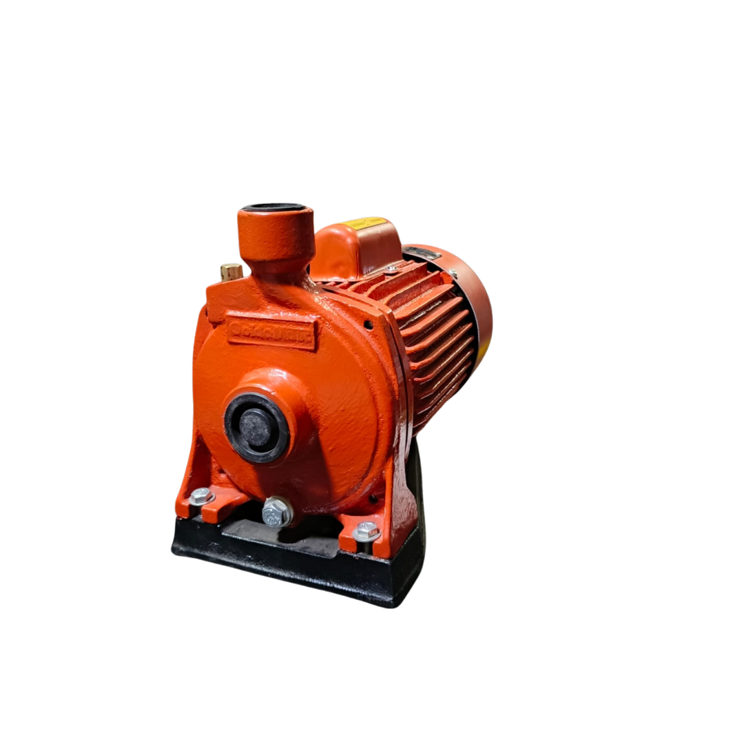 GOLDEN 1 HP CENTRIFUGAL PUMP